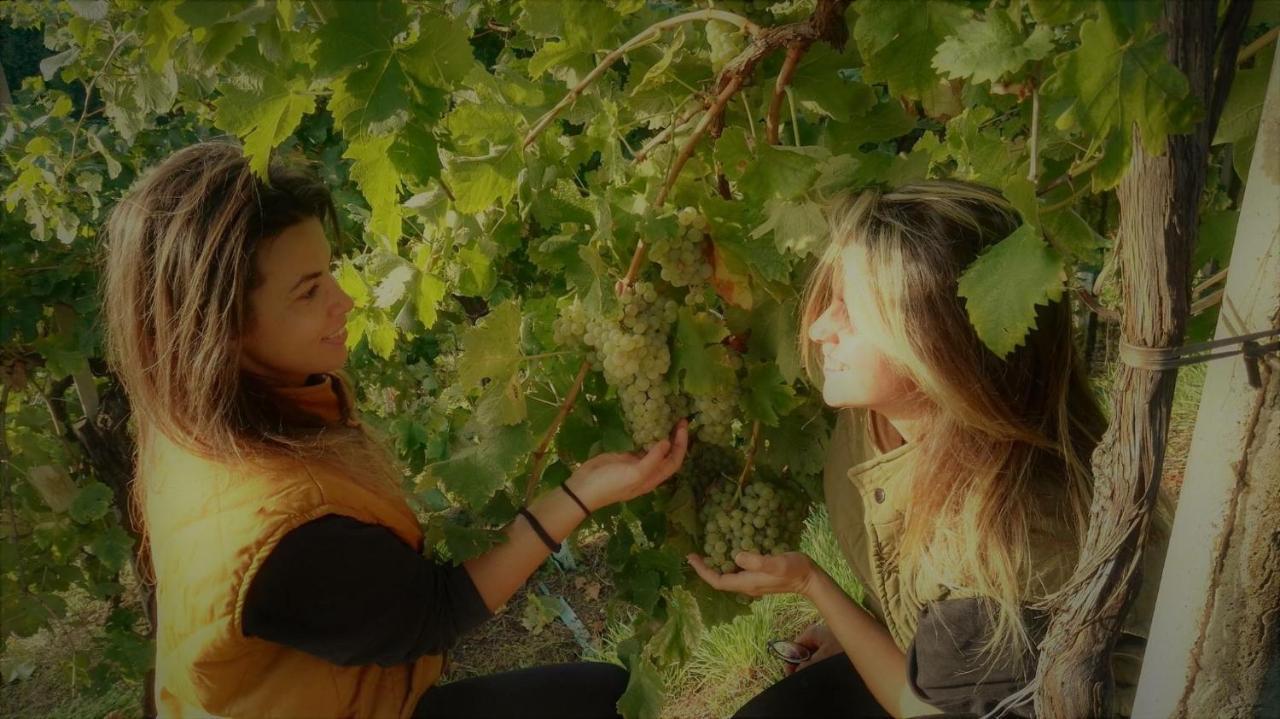 Farra di Soligo Agriturismo Al Credazzo المظهر الخارجي الصورة