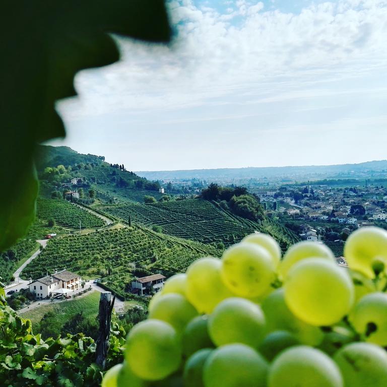 Farra di Soligo Agriturismo Al Credazzo المظهر الخارجي الصورة